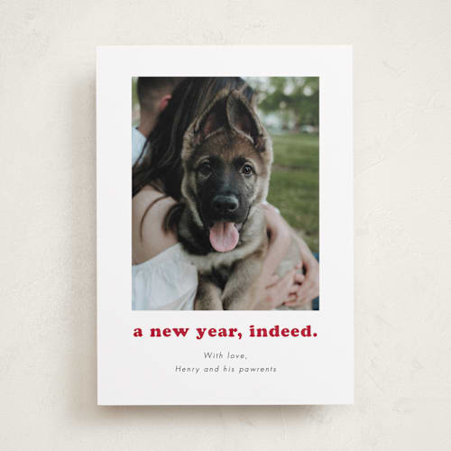 This is a peppermint holiday photo cards with standard by Kristen Knechtel called indeed printing on recycled smooth signature in standard