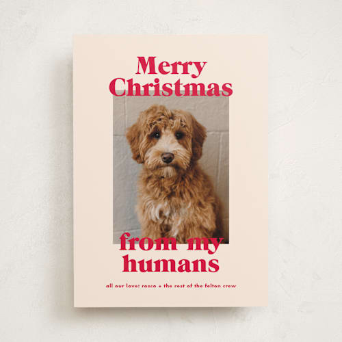This is a cherry holiday photo cards with standard by Annie Clark called happy howlidays printing on recycled smooth signature in standard