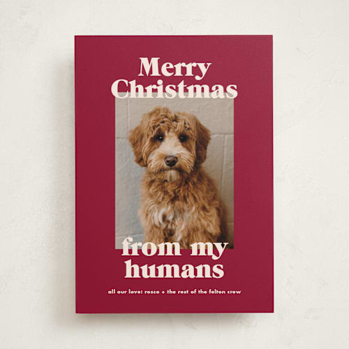 This is a pomegranate holiday photo cards with standard by Annie Clark called happy howlidays printing on recycled smooth signature in standard