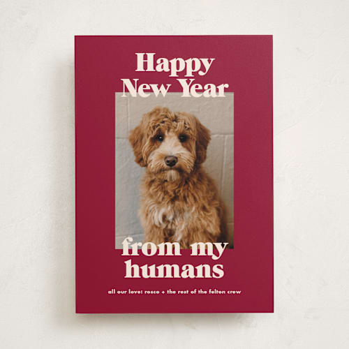 This is a pomegranate holiday photo cards with standard by Annie Clark called happy howlidays printing on recycled smooth signature in standard