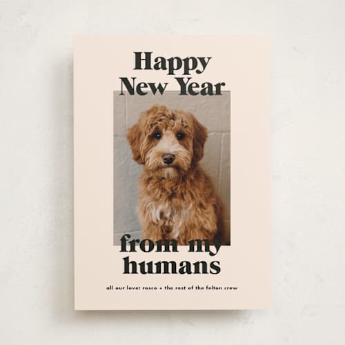 This is a sugar cookies holiday photo cards with standard by Annie Clark called happy howlidays printing on recycled smooth signature in standard