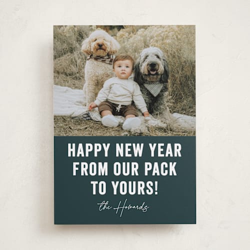 This is a blue spruce holiday photo cards with standard by Brooke Chandler called our pack to yours printing on recycled smooth signature in standard