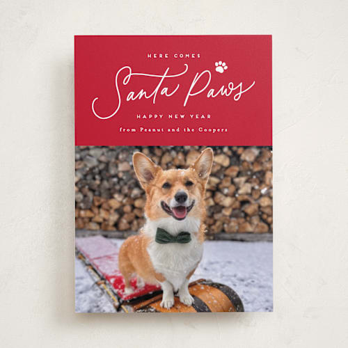 This is a candied apple holiday photo cards with standard by Everett Paper Goods called here comes santa paws printing on recycled smooth signature in standard