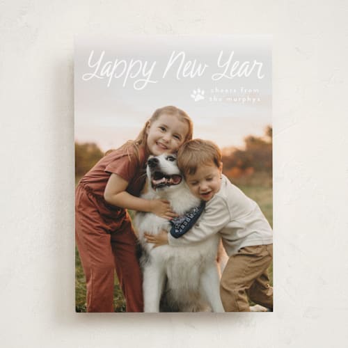 This is a snow holiday photo cards with standard by Annie Holmquist called unleashed printing on recycled smooth signature in standard