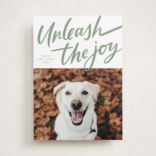 This is a spruce holiday photo cards with standard by Erin German called unleash the joy printing on recycled smooth signature in standard