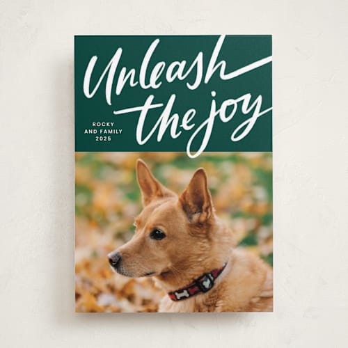 This is a evergreen holiday photo cards with standard by Erin German called unleash the joy printing on recycled smooth signature in standard
