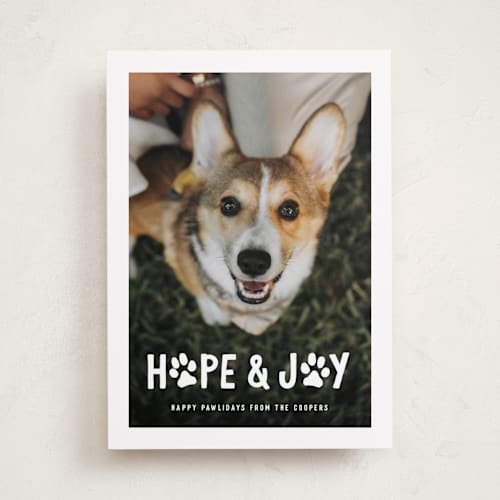 This is a snow holiday photo cards with standard by Hooray Creative called puppy love and joy printing on recycled smooth signature in standard