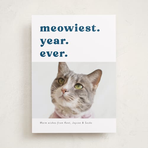 This is a holy knight holiday photo cards with standard by Deborah Chou called be meowy printing on recycled smooth signature in standard