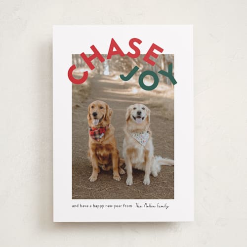 This is a holly holiday photo cards with standard by Angela Garrick called chase joy printing on recycled smooth signature in standard