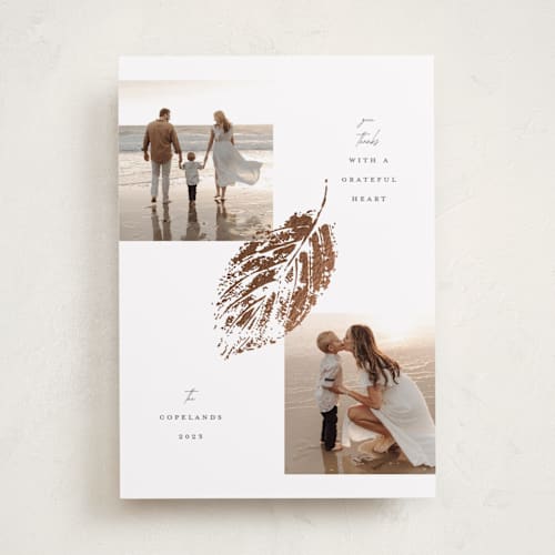 This is a vanilla thanksgiving cards invitations with foil pressed by Susan Zinader called falling printing on recycled smooth signature in standard