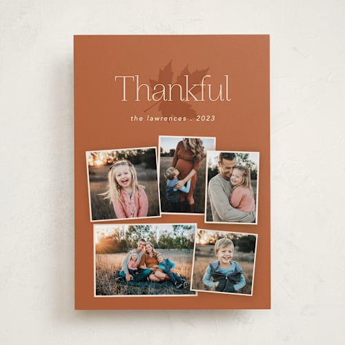 This is a chestnut thanksgiving cards invitations with standard by Morgan Kendall called family album printing on recycled smooth signature in standard