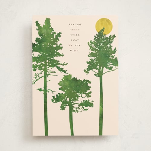 This is a chardonnay tbd with standard by Kanika Mathur called strong tree printing on signature in greeting cards