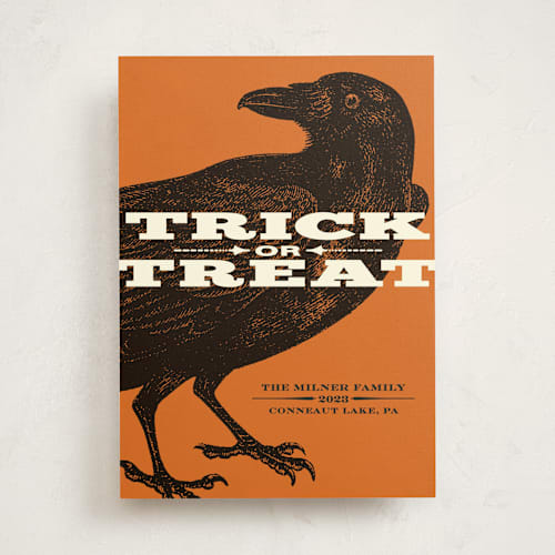 This is a pumpkin halloween party invitations cards by Alex Elko Design called trick or treat raven printing on signature in standard