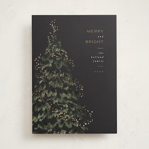 This is a coal foil pressed holiday cards with foil pressed by Leah Bisch called winter sparkle printing on signature in standard