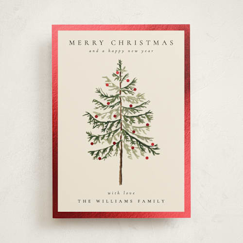 This is a eggnog foil pressed holiday cards with foil pressed by Amy Kross called vintage spruce printing on signature in standard