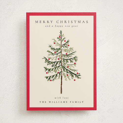 This is a poinsettia non photo holiday cards with standard by Amy Kross called vintage spruce printing on signature in standard