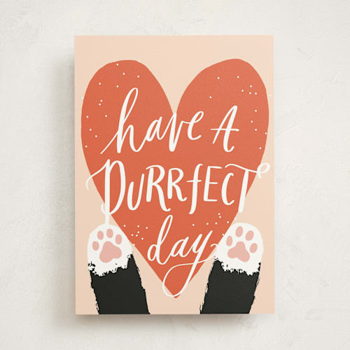 This is a papaya birthday cards with standard by Everett Paper Goods called pawsitively purrfect printing on signature in greeting cards