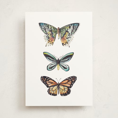 This is a butterfly wing black greeting cards with standard by Lauren Rogoff called butterfly watercolors printing on signature in greeting cards