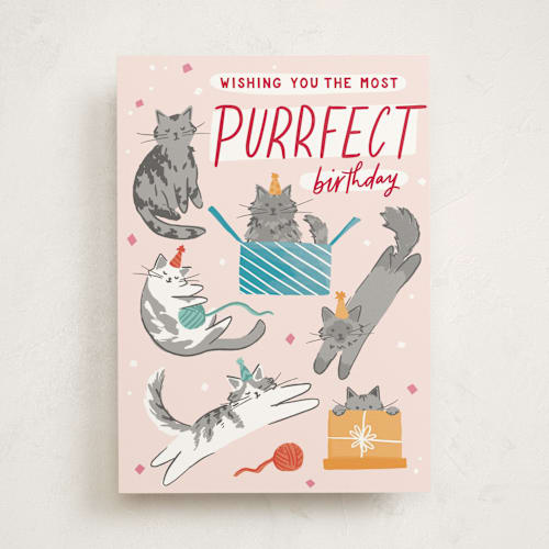 This is a rose birthday cards for her with standard by Everett Paper Goods called kitten caboodle printing on signature in greeting cards