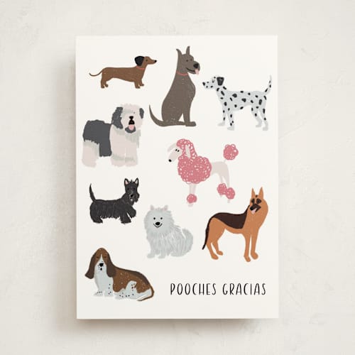 This is a cloud greeting cards with standard by Laura Bercovich called pooches gracias printing on signature in greeting cards