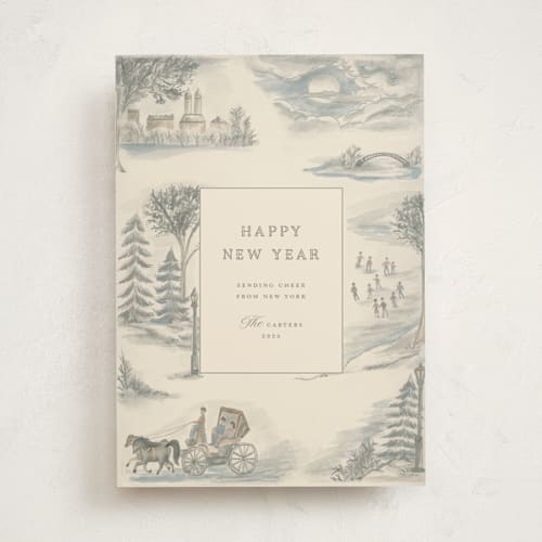 This is a vanilla met with standard by Teju Reval called central park toile printing on signature in standard