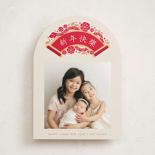 This is a fireworks chinese new year cards by Vivian Yiwing called lunar snake arch printing on recycled smooth signature in standard