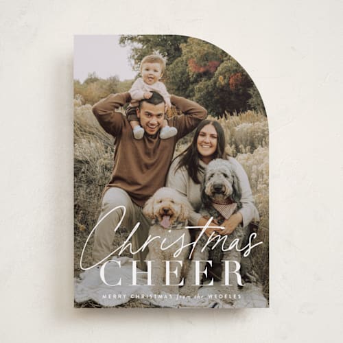 This is a snow holiday photo cards with standard by Sara Hicks Malone called christmas cheer printing on recycled smooth signature in standard
