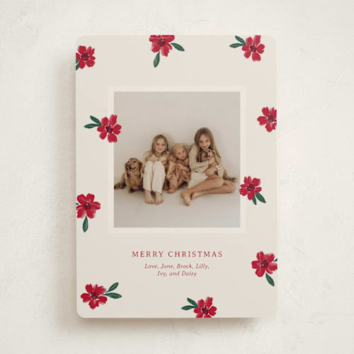 This is a poinsettia photo christmas cards with standard by Kercia Jane called painted petals printing on recycled smooth signature in standard