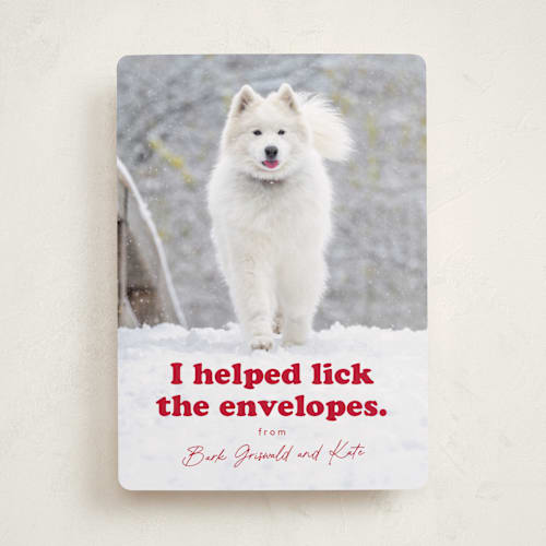 This is a chewed stocking photo christmas cards with standard by Hudson meet Rose called helping printing on recycled smooth signature in standard