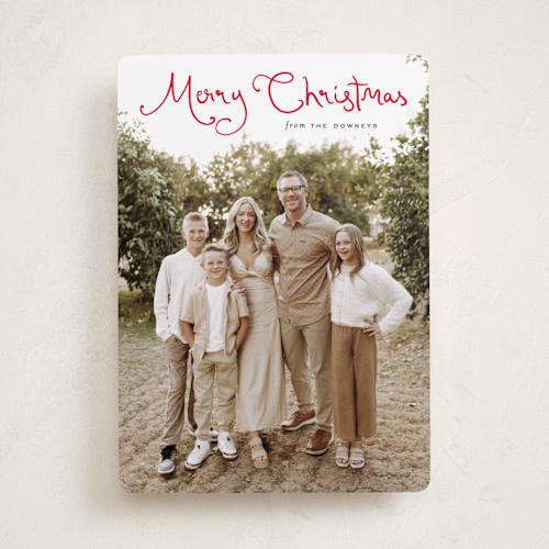 This is a cardinal photo christmas cards with standard by Sara Hicks Malone called christmas script printing on recycled smooth signature in standard