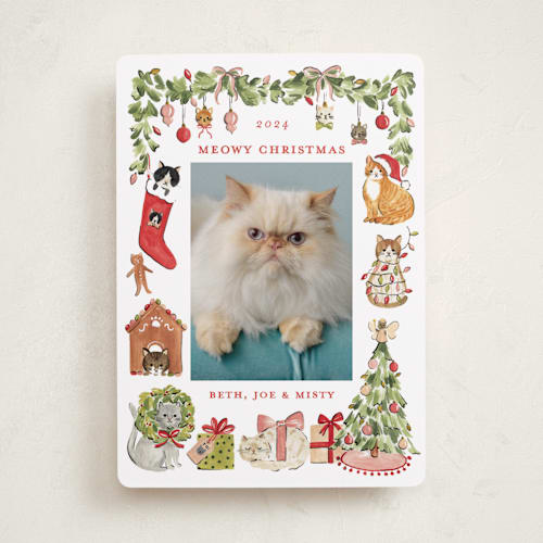 This is a pine holiday photo cards with standard by Sarah Knight called meowy christmas printing on recycled smooth signature in standard