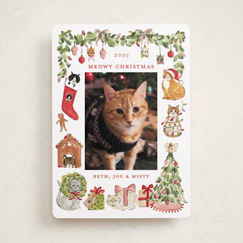 This is a pine holiday photo cards with standard by Sarah Knight called meowy christmas printing on recycled smooth signature in standard
