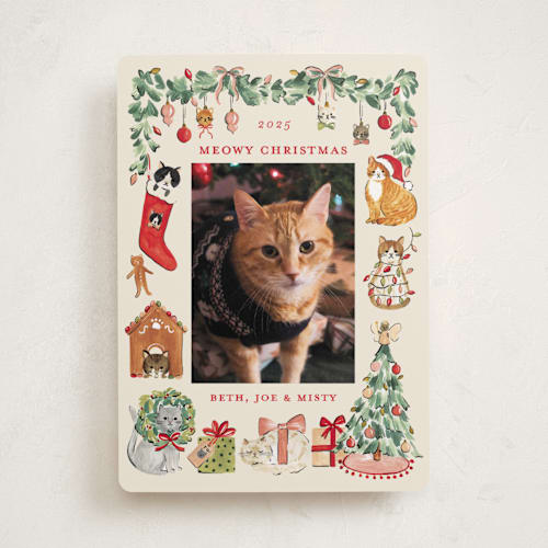 This is a vintage holiday photo cards with standard by Sarah Knight called meowy christmas printing on recycled smooth signature in standard