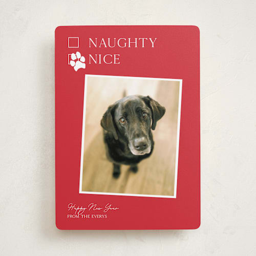This is a poinsettia holiday photo cards with standard by Kat Roberts called nice pup printing on recycled smooth signature in standard