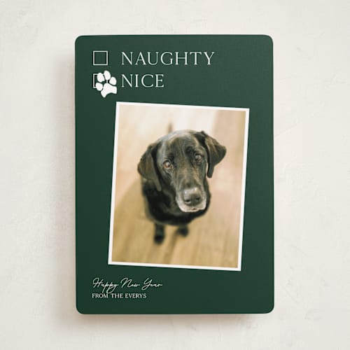 This is a forest holiday photo cards with standard by Kat Roberts called nice pup printing on recycled smooth signature in standard