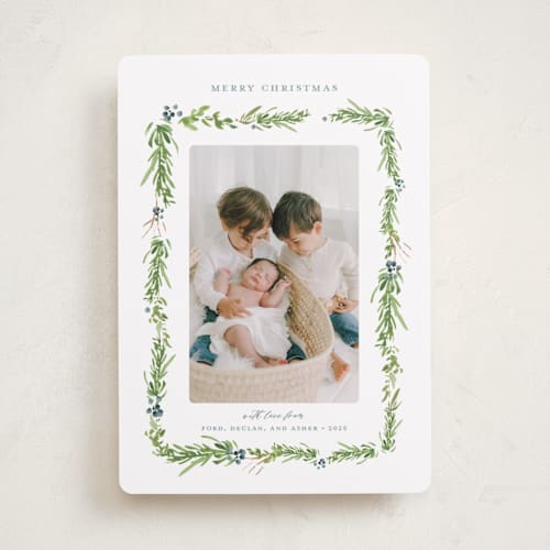 This is a blue spruce holiday photo cards with standard by Melinda Denison called berry garland printing on recycled smooth signature in standard