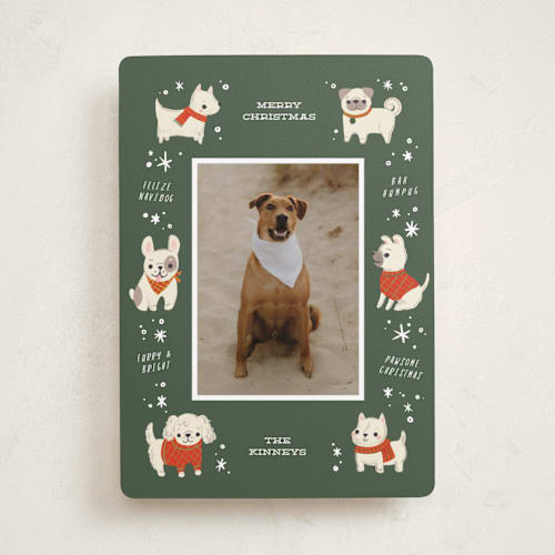 This is a sage holiday photo cards with standard by Itsy Belle Studio called dog days of christmas printing on recycled smooth signature in standard