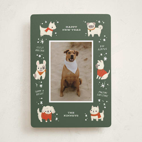 This is a sage holiday photo cards with standard by Itsy Belle Studio called dog days of christmas printing on recycled smooth signature in standard
