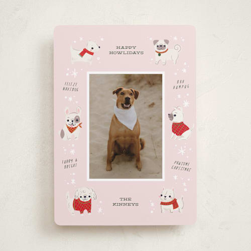 This is a blush holiday photo cards with standard by Itsy Belle Studio called dog days of christmas printing on recycled smooth signature in standard