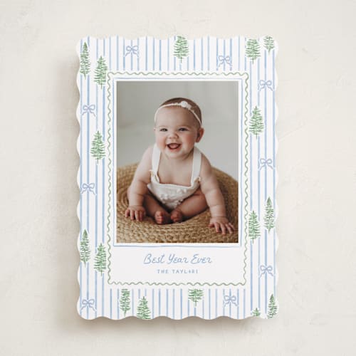 This is a blue jay photo christmas cards with standard by Creo Study called trees and bows printing on recycled smooth signature in standard