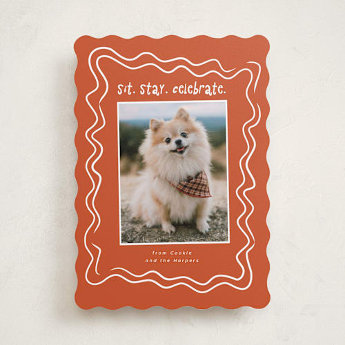 This is a holly holiday photo cards with standard by Vera Lim called wiggly lines printing on recycled smooth signature in standard