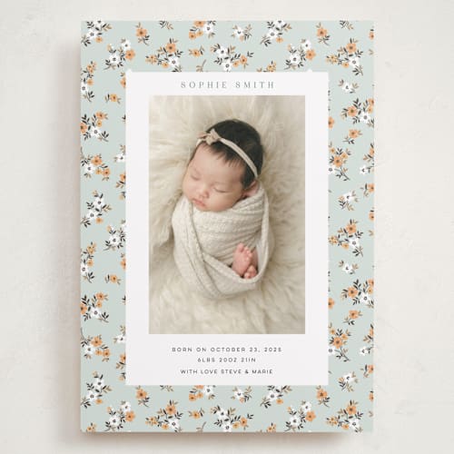 This is a mojito grand birth announcements with standard by Sherley Ferreira called spring gardens printing on smooth signature in grand