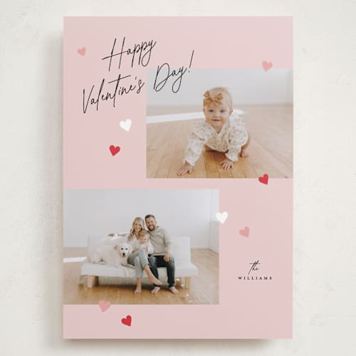 This is a rose valentines day with standard by Pixel and Hank called spinkle hearts printing on recycled smooth signature in grand