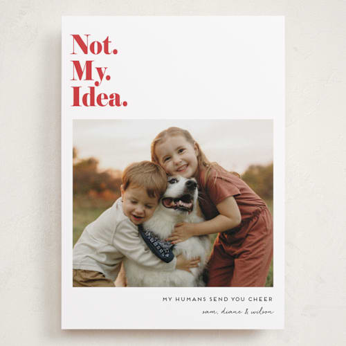 This is a bright red holiday photo cards with standard by Penny Eversole called not my idea pet card printing on recycled smooth signature in grand