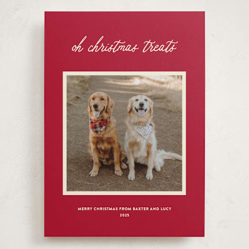 This is a red chew toy holiday photo cards with standard by Sarah Hawkins Designs called christmas treats printing on recycled smooth signature in grand