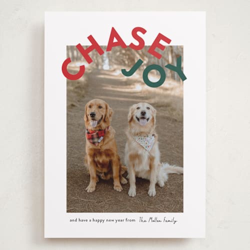 This is a holly holiday photo cards with standard by Angela Garrick called chase joy printing on recycled smooth signature in grand