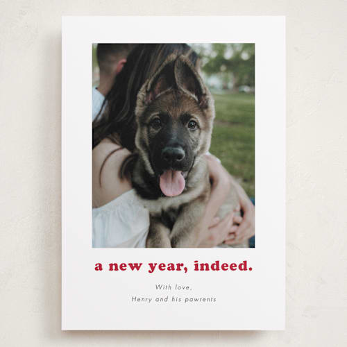 This is a peppermint holiday photo cards with standard by Kristen Knechtel called indeed printing on recycled smooth signature in grand