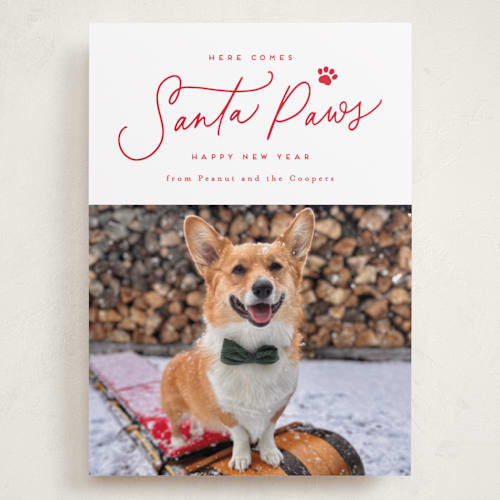 This is a cherry holiday photo cards with standard by Everett Paper Goods called here comes santa paws printing on recycled smooth signature in grand