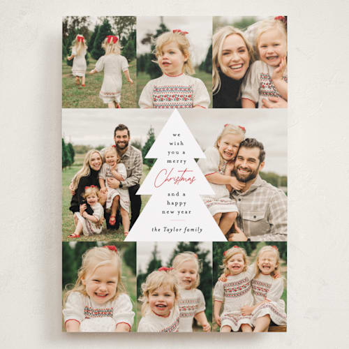 This is a holly berry holiday photo cards with standard by Alethea and Ruth called multi tree center printing on recycled smooth signature in grand