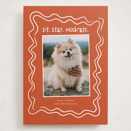 This is a holly holiday photo cards with standard by Vera Lim called wiggly lines printing on recycled smooth signature in grand